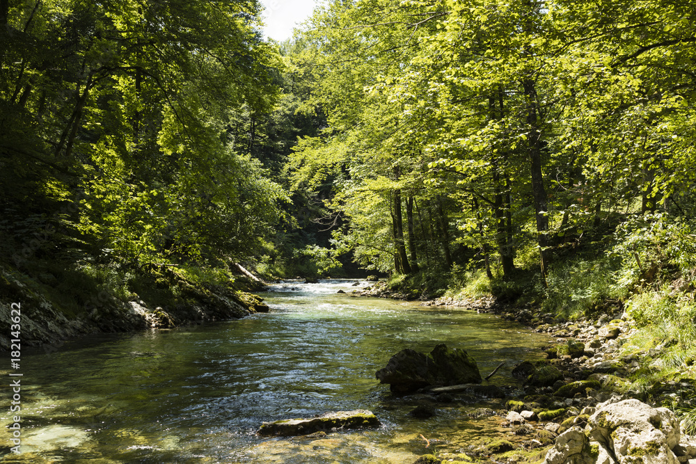 The famous Vintgar gorge Canyon with wooden pats near Bled, Triglav Nationalpark