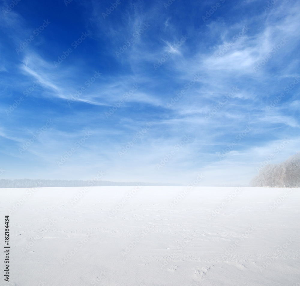 雪地