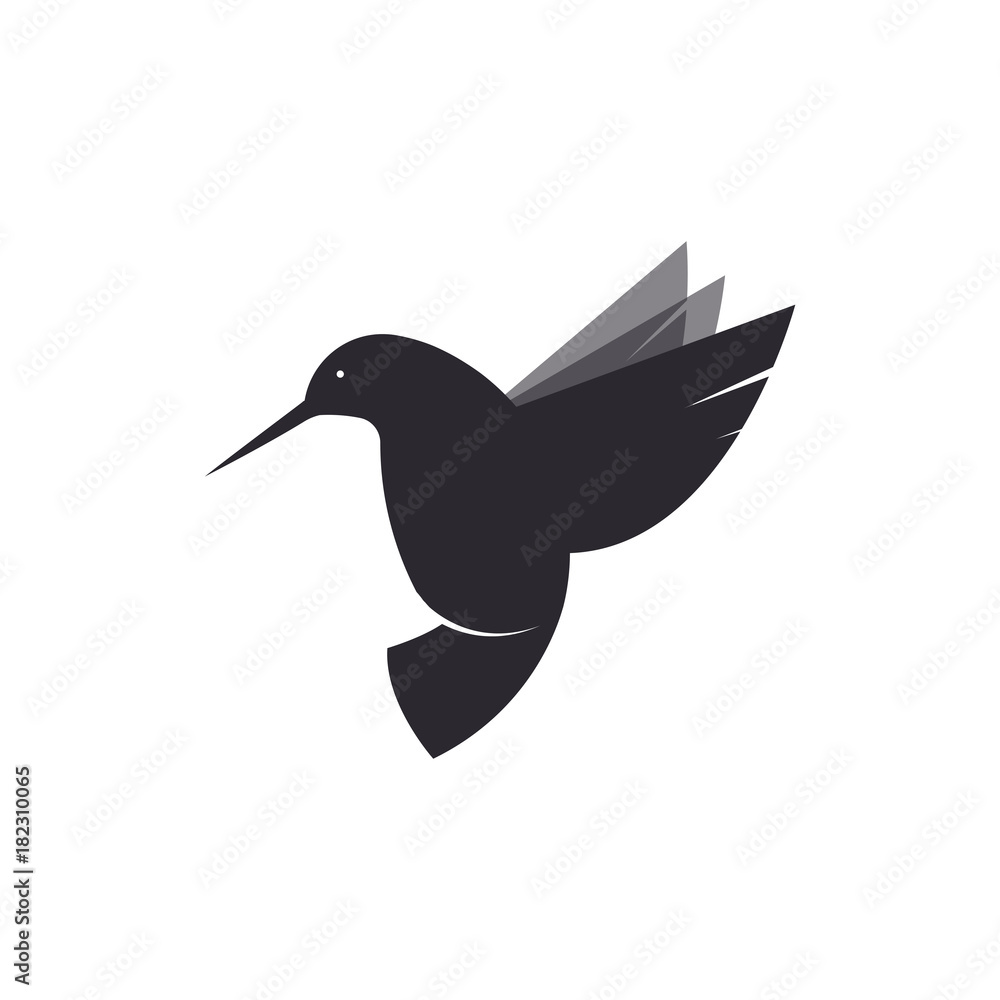 Hummingbird logo. Illustration of a bird species violetears Colibri. Vector drawing of an animal