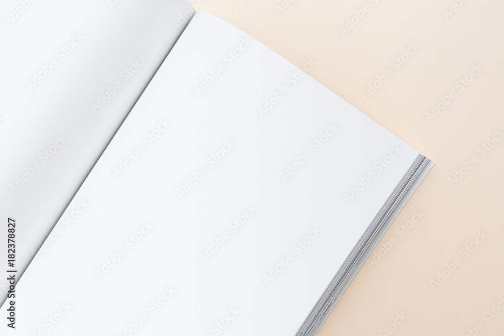 Book mockup