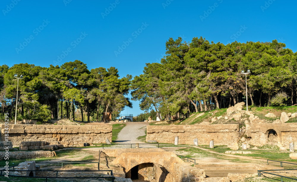 The Carthage Amphitheater, an acient Roman amphitheater in Tunis, Tunisia