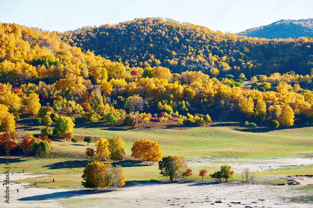 The autumn grassland scenic