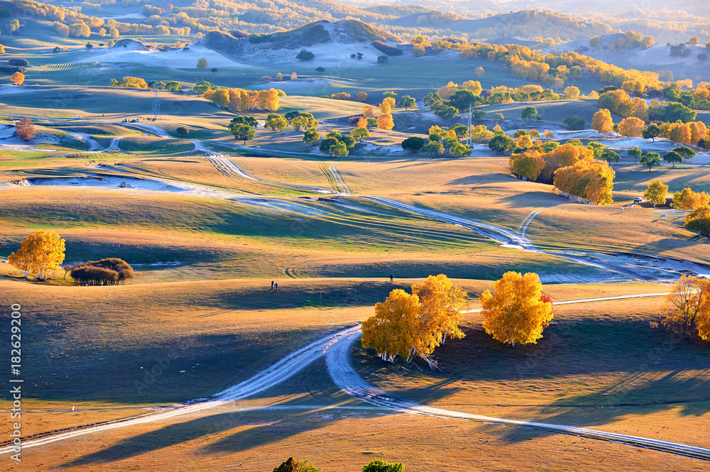 The autumn grassland scenic