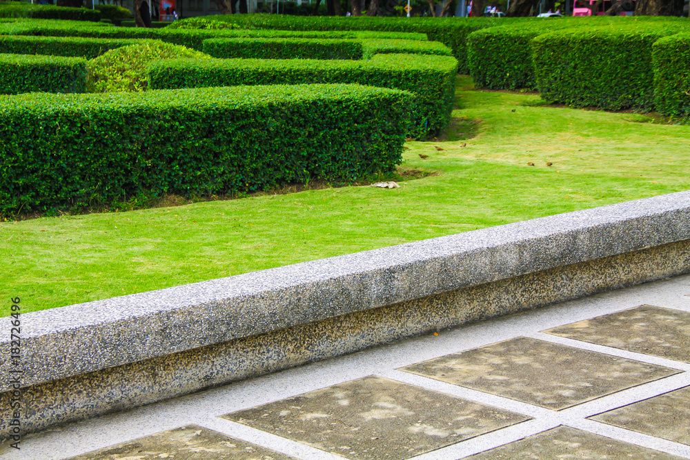 Neat garden landscape topiary