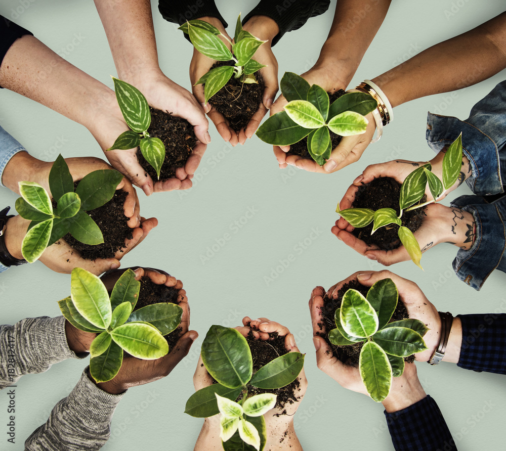 Diverse people holding plants in their hands