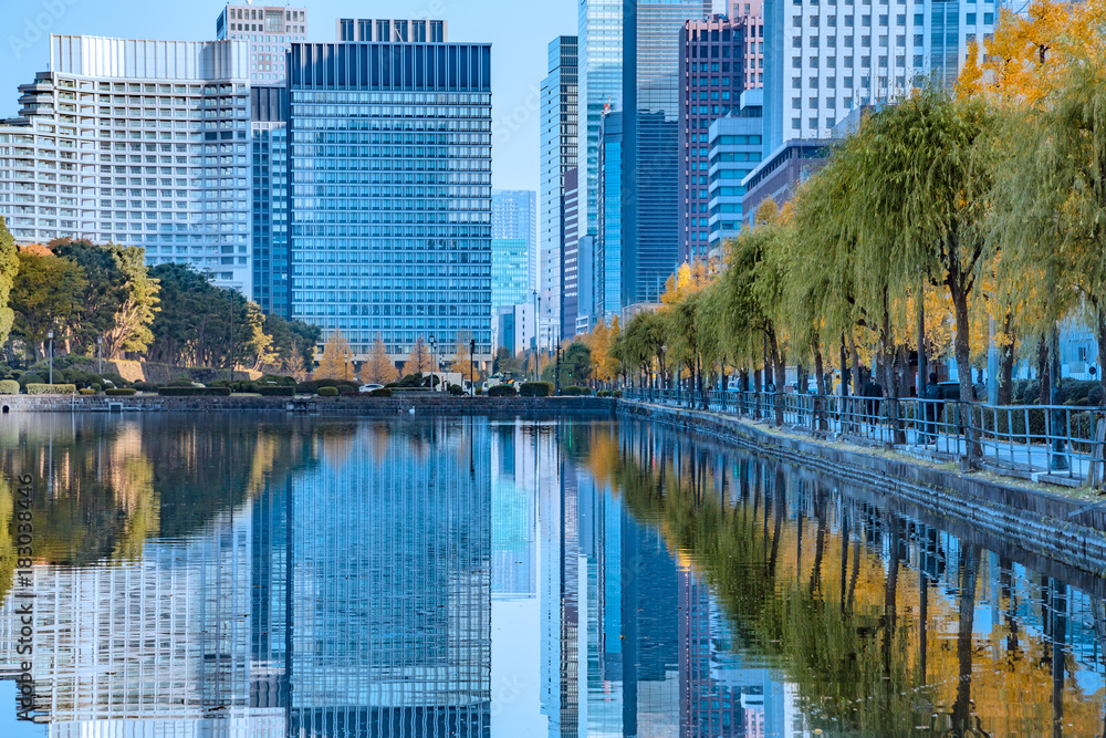 都会を彩る紅葉の木々