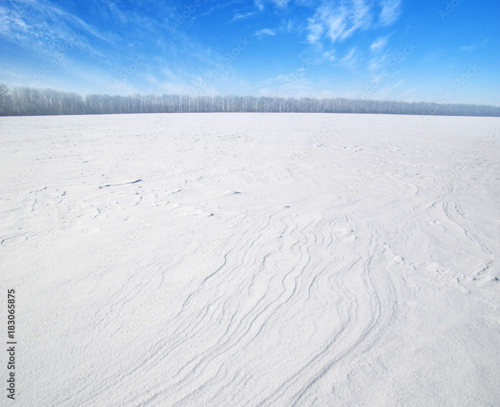 雪地