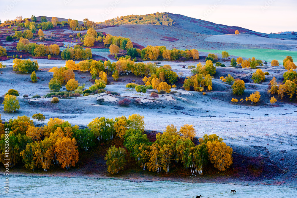 The autumn steppe sunrise landscape.