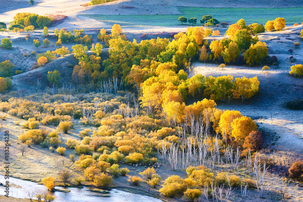 The autumn steppe sunrise landscape.