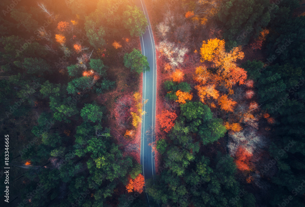 日落时分，美丽的秋林中的公路鸟瞰图。空旷的乡村公路构成了美丽的景观。