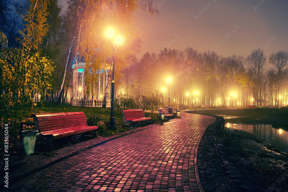 雨后公园的秋夜景观。