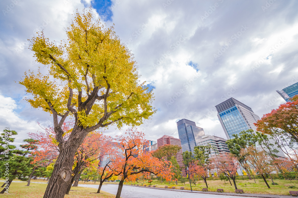 都会のビル群と紅葉の木々