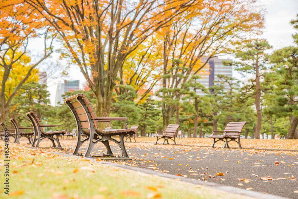 秋の公園のベンチ