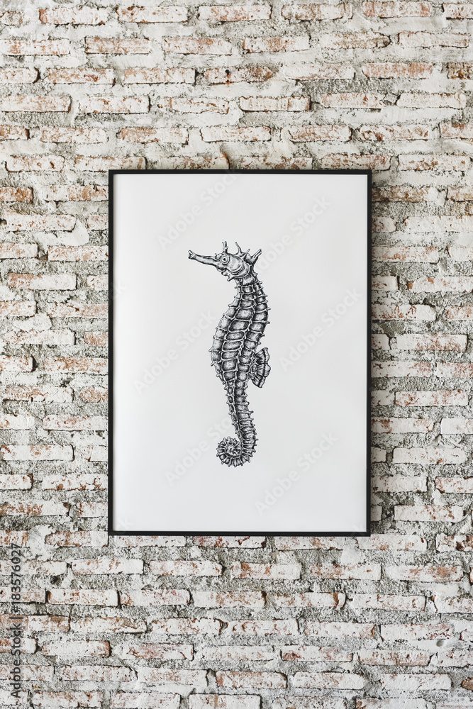 Photo of hand drawing seahorse is hanging on the wall