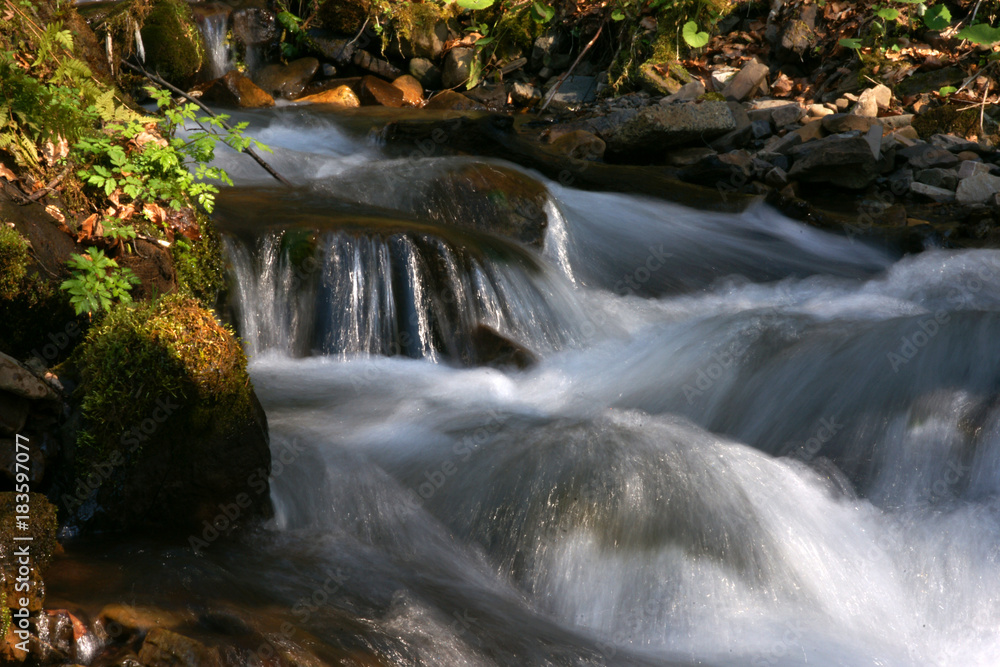 Waterfall and forest stream