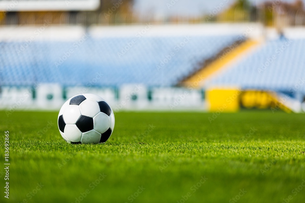 Soccer Ball on Grass