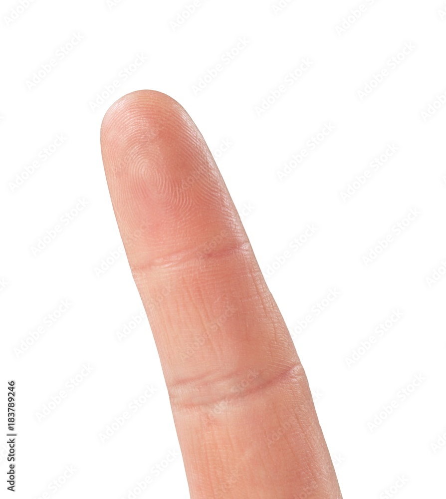 Human Finger Isolated