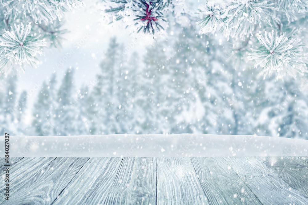 Falling snow on forest trees, winter landscape