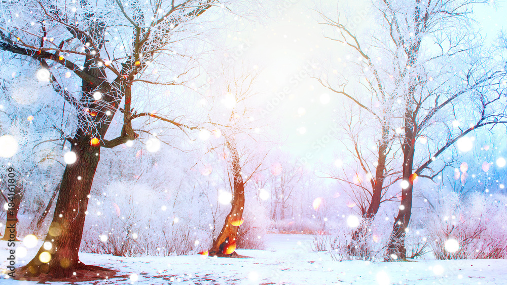 Beautiful sunny winter scene. Snow covered trees and frozen river