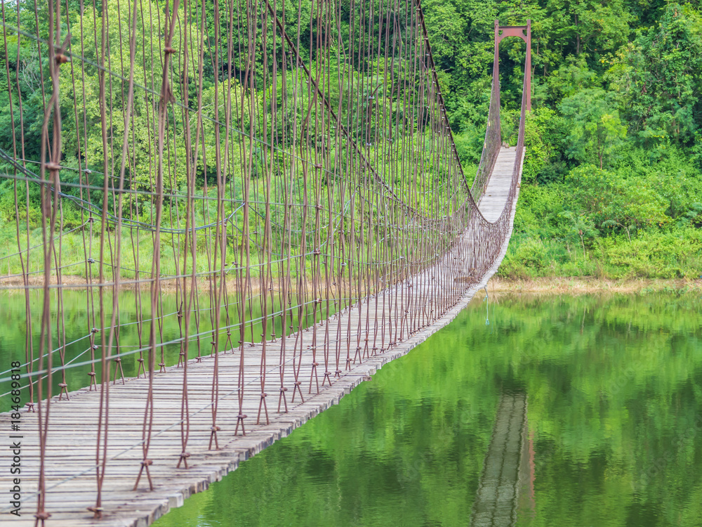 Wooden bridge, the river and the forest.