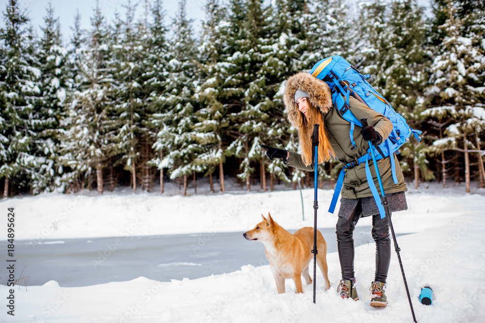 Woman in winter clothes with her dog hiking with backpack and tracking sticks at the snowy forest ne