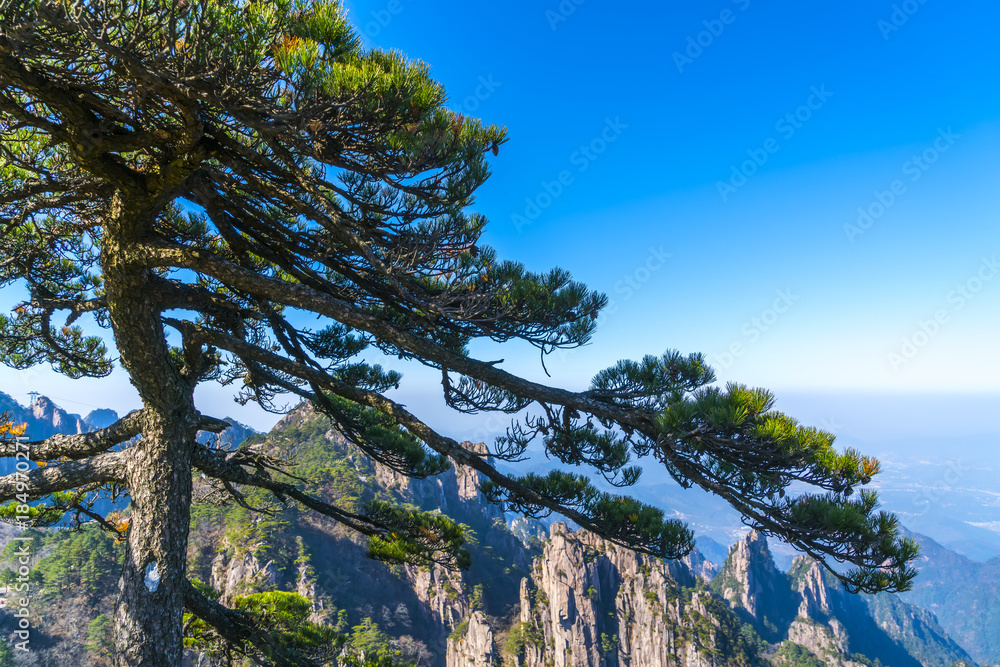 Beautiful scenery in Mount Huangshan, China