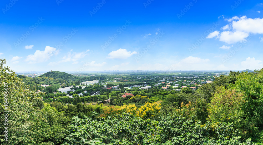 中国上海市郊的住宅楼和绿色森林，鸟瞰图