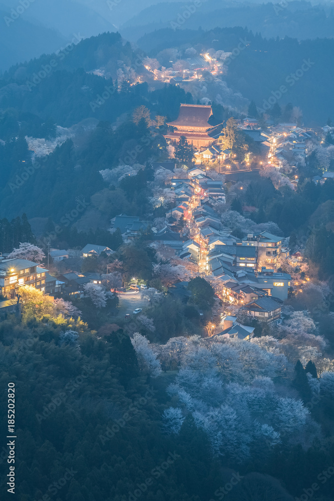 吉野山樱花点亮。日本最著名的奈良县吉野山