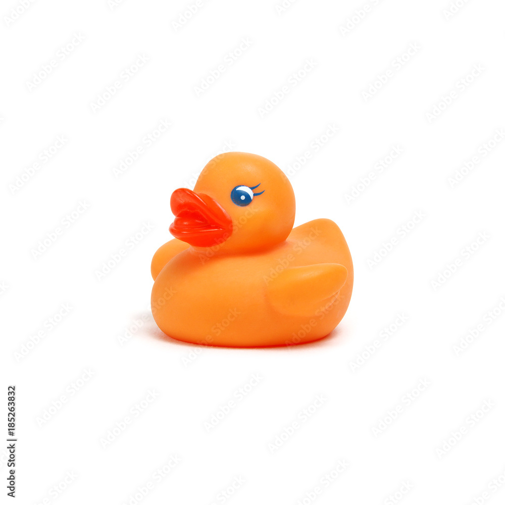 Yellow rubber duck on white