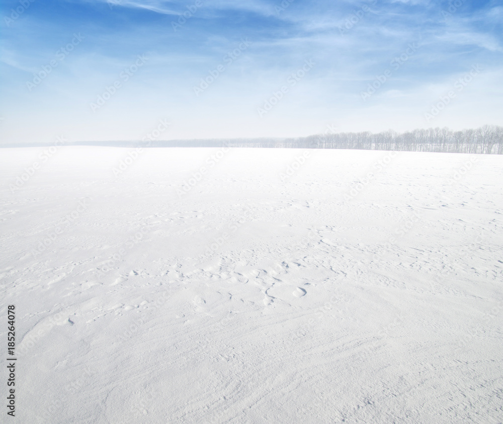 雪地