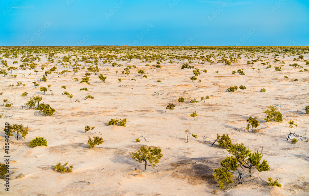 Chott el Djerid，突尼斯的一个干涸的湖泊