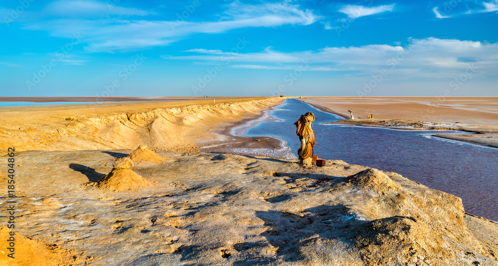 Chott el Djerid，突尼斯的一个干涸的湖泊