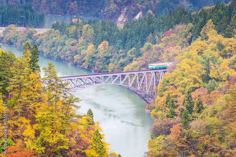 秋天的福岛三岛町田见线