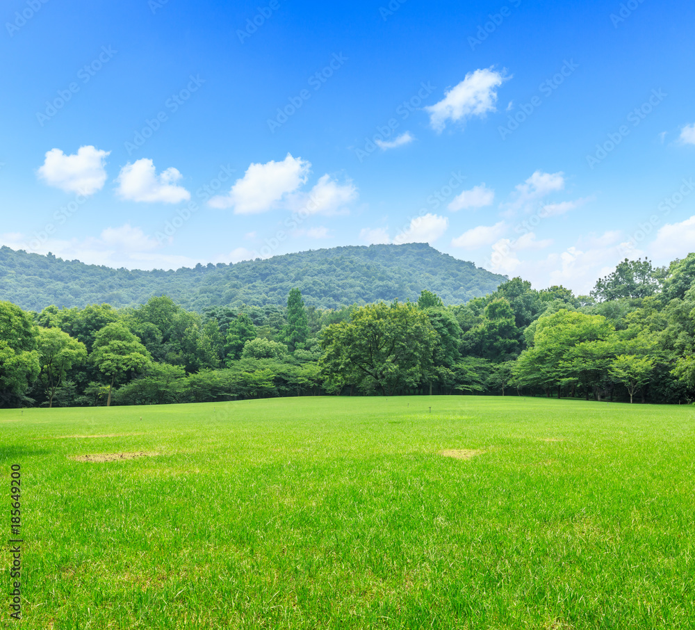 夏日绿草如茵，山清水秀