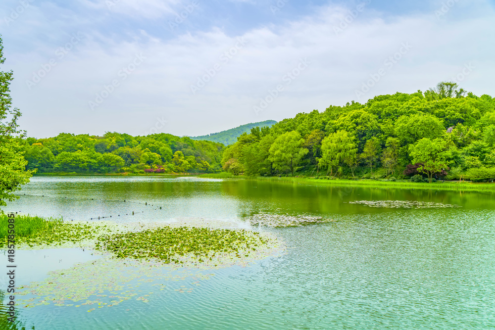 杭州美丽的西湖景观