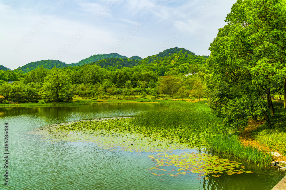 杭州美丽的西湖景观