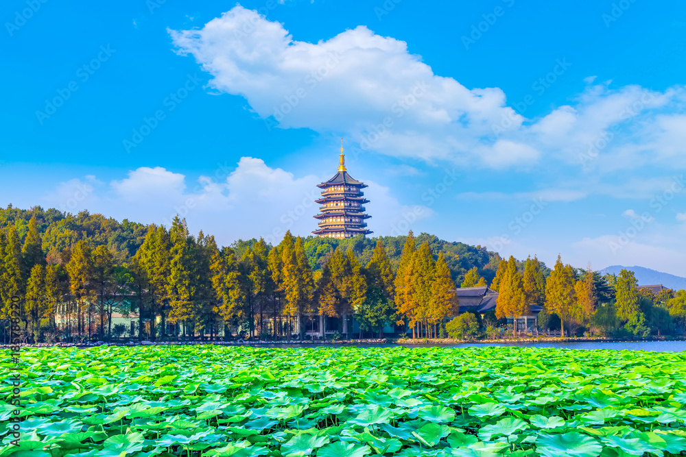 西湖杭州美景