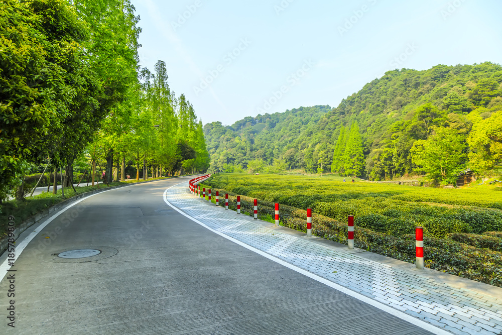 西湖龙井茶园