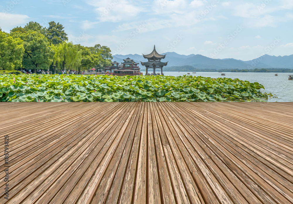 西湖荷花池