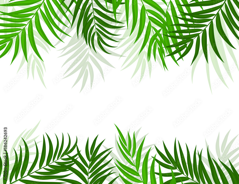 Beautifil Palm Tree Leaf  Silhouette Background Vector Illustration