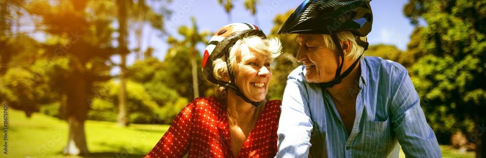 Happy couple riding a bicycle in park