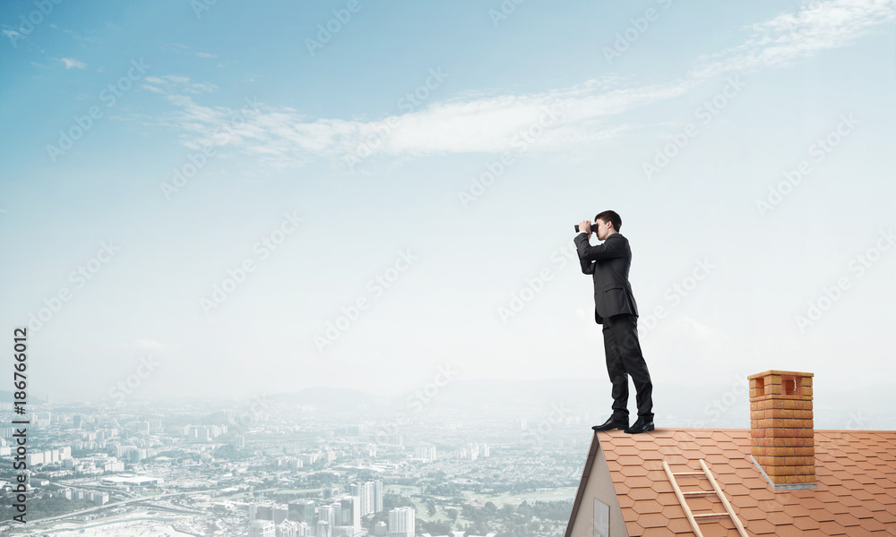 Mister boss on brick roof in search of something new. Mixed media