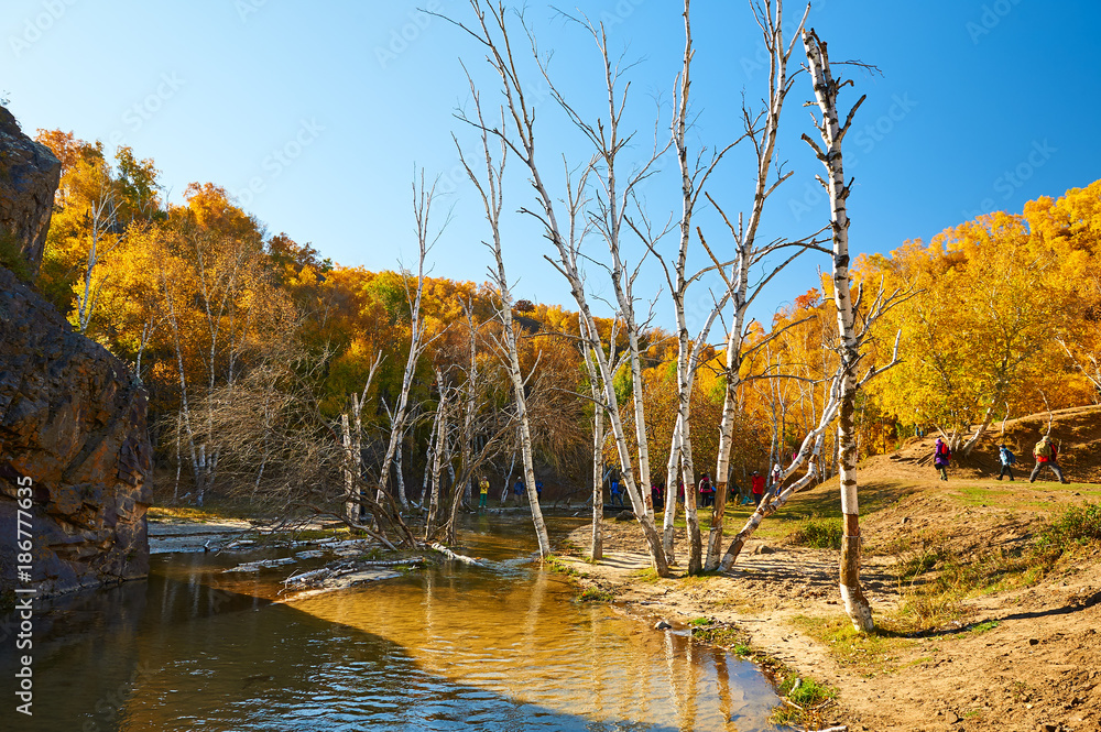 The water and autumn trees.