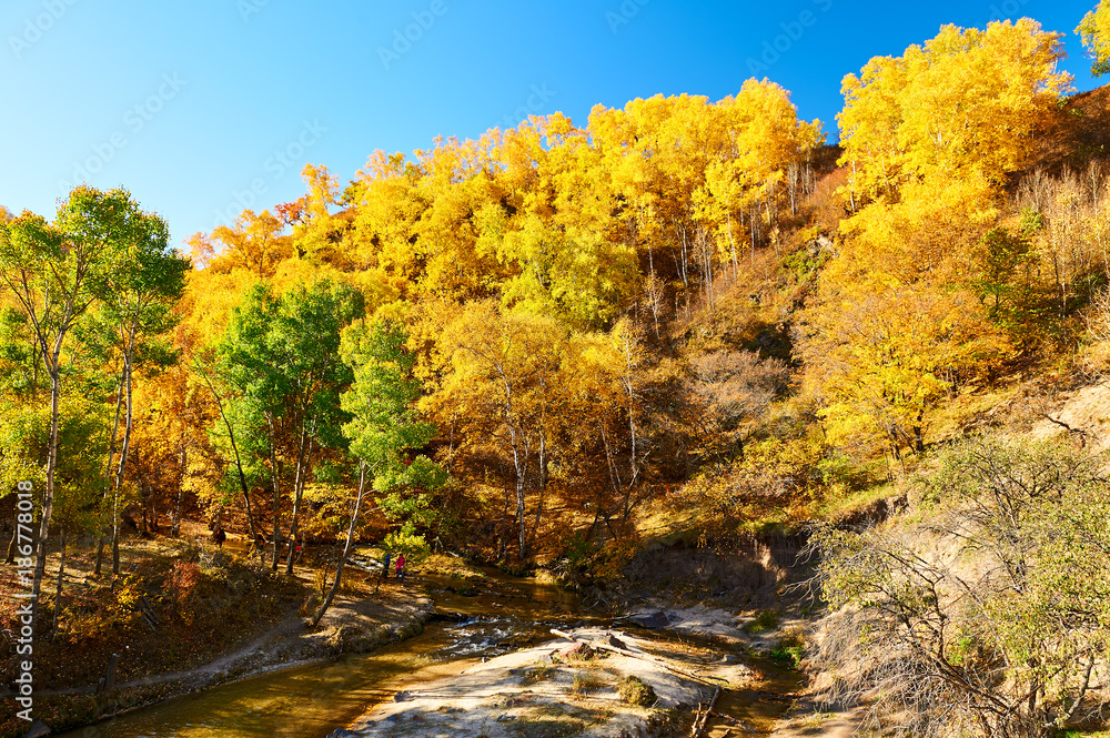 山谷秋季景观。