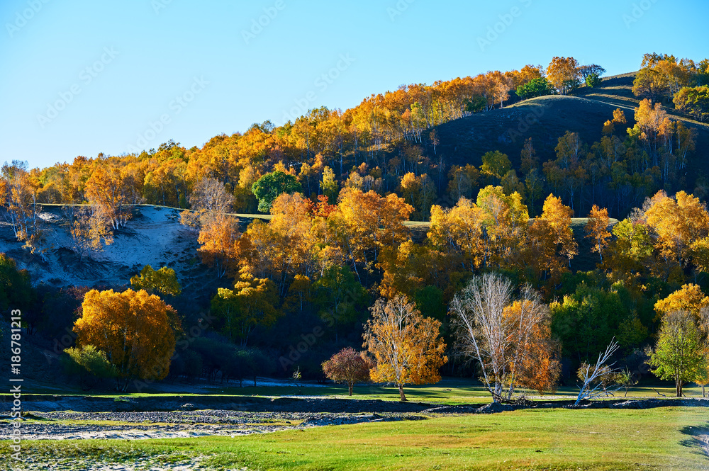 The valley autumn landscape.