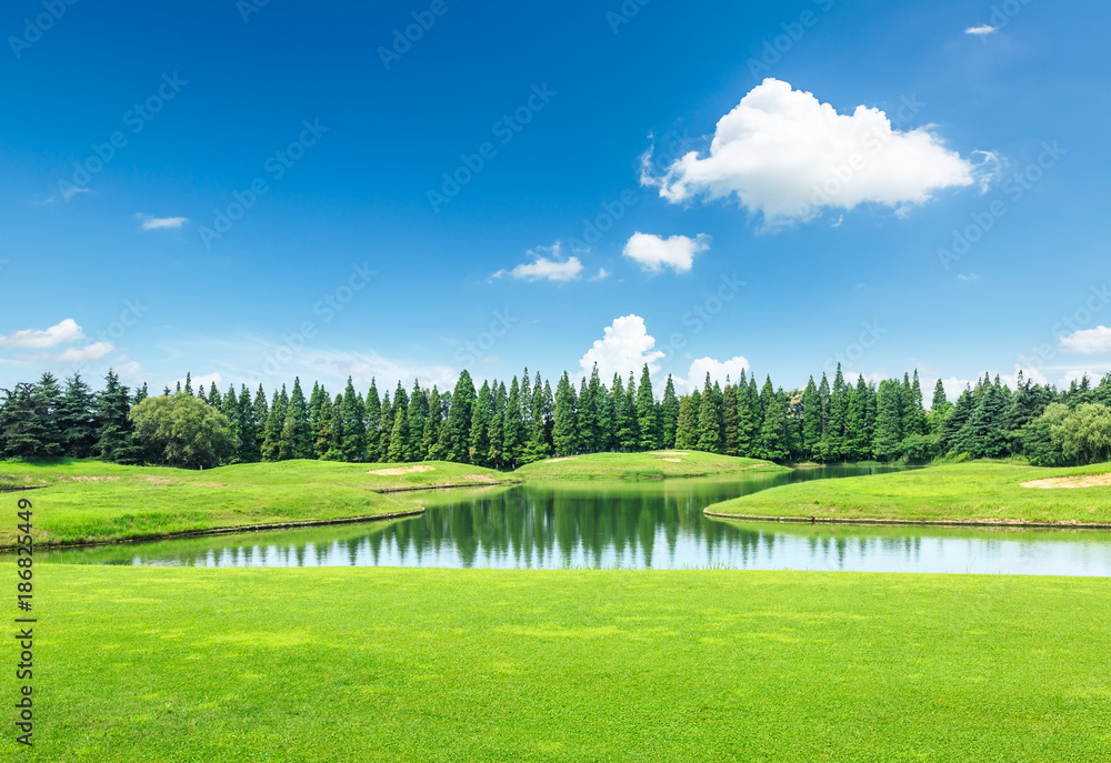 自然公园里的绿色草地和树木与池塘景观，美丽的夏季