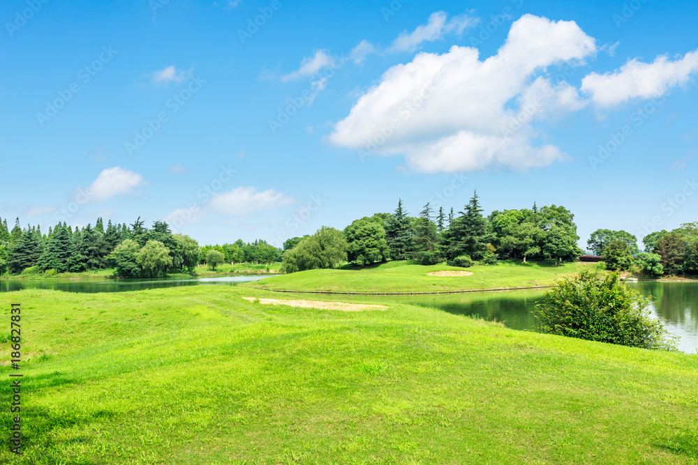 自然公园里的绿色草地和树木与池塘景观，美丽的夏季