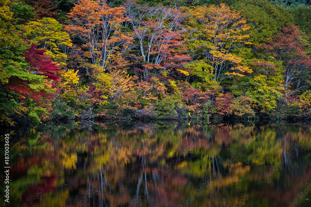 Togakushis Lake，Kagami ike池塘在秋天的早晨