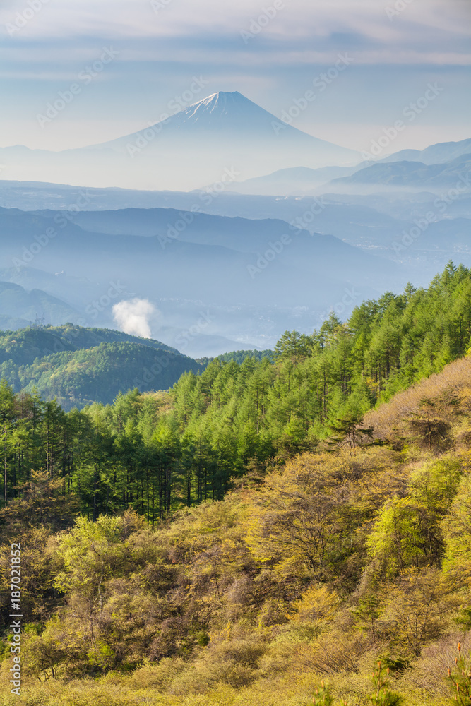 富士山，春日晨雾蒙蒙