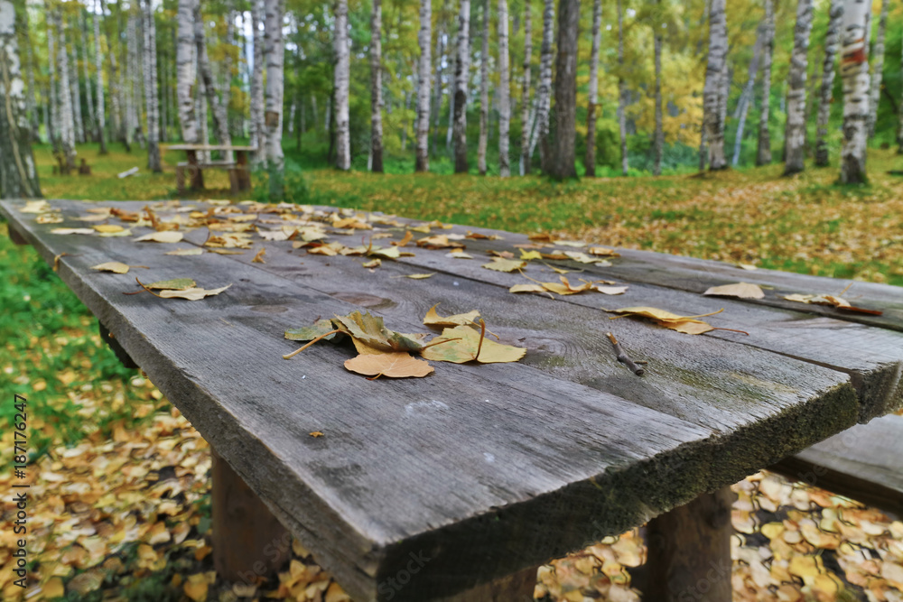 Table in Birchwood